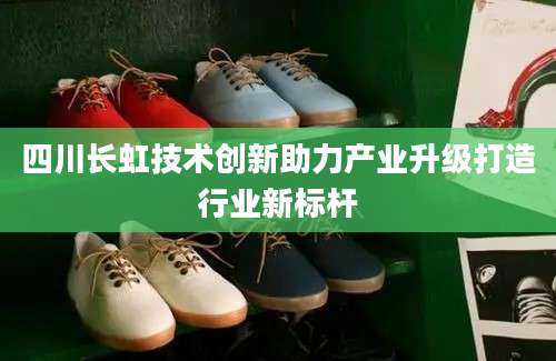 四川长虹技术创新助力产业升级打造行业新标杆