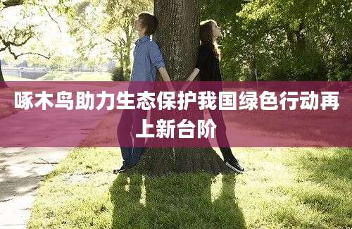 啄木鸟助力生态保护我国绿色行动再上新台阶