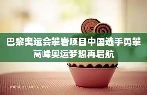 巴黎奥运会攀岩项目中国选手勇攀高峰奥运梦想再启航