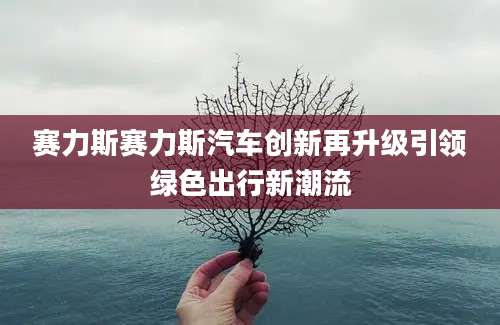赛力斯赛力斯汽车创新再升级引领绿色出行新潮流