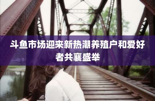 斗鱼市场迎来新热潮养殖户和爱好者共襄盛举