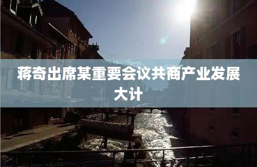 蒋奇出席某重要会议共商产业发展大计