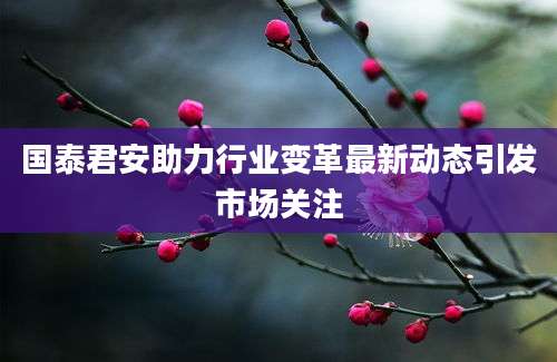 国泰君安助力行业变革最新动态引发市场关注