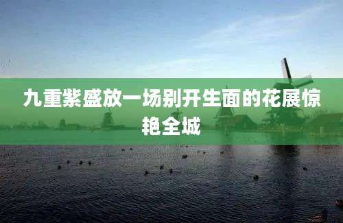 九重紫盛放一场别开生面的花展惊艳全城