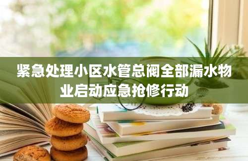 紧急处理小区水管总阀全部漏水物业启动应急抢修行动