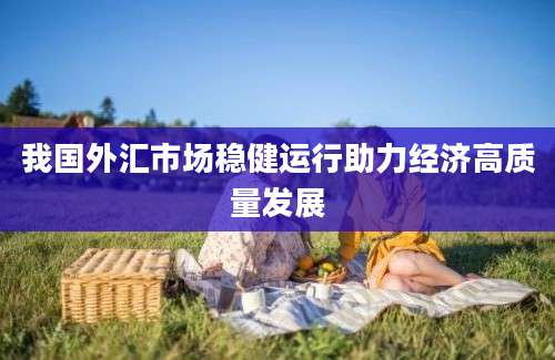 我国外汇市场稳健运行助力经济高质量发展