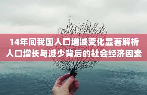 14年间我国人口增减变化显著解析人口增长与减少背后的社会经济因素