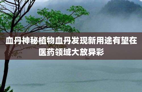 血丹神秘植物血丹发现新用途有望在医药领域大放异彩