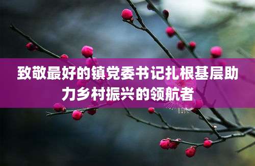致敬最好的镇党委书记扎根基层助力乡村振兴的领航者