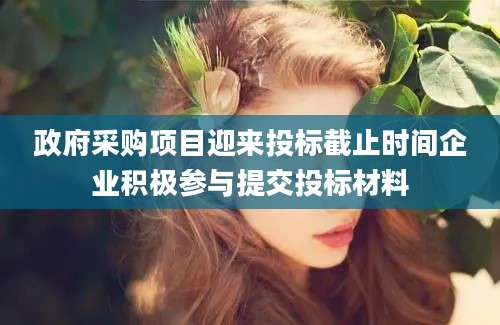 政府采购项目迎来投标截止时间企业积极参与提交投标材料