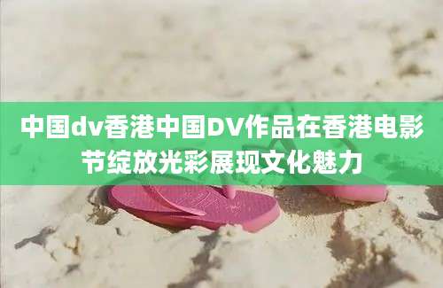 中国dv香港中国DV作品在香港电影节绽放光彩展现文化魅力