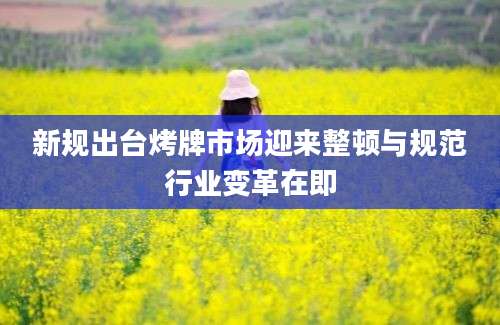 新规出台烤牌市场迎来整顿与规范行业变革在即