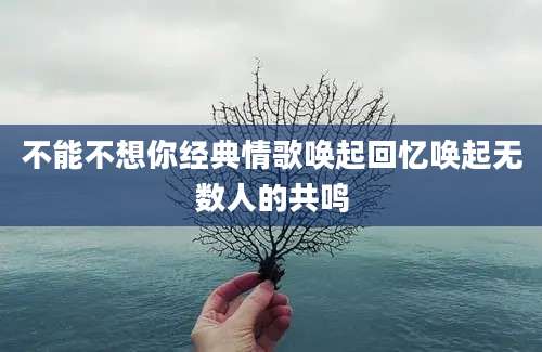 不能不想你经典情歌唤起回忆唤起无数人的共鸣