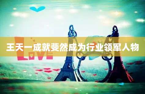 王天一成就斐然成为行业领军人物
