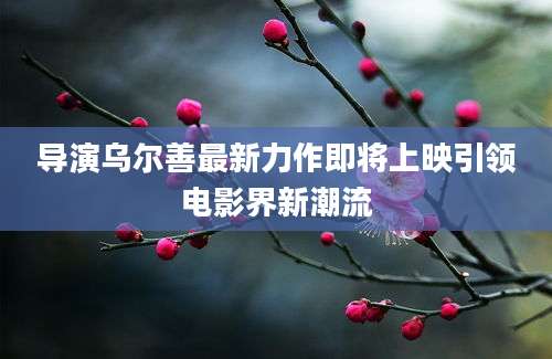 导演乌尔善最新力作即将上映引领电影界新潮流