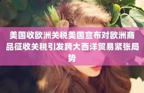 美国收欧洲关税美国宣布对欧洲商品征收关税引发跨大西洋贸易紧张局势