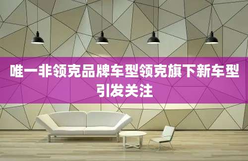 唯一非领克品牌车型领克旗下新车型引发关注