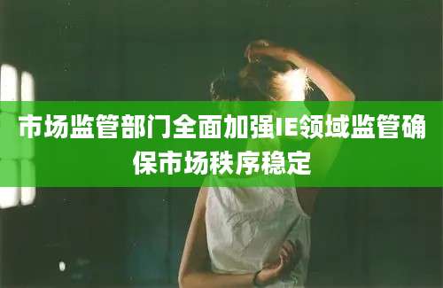 市场监管部门全面加强IE领域监管确保市场秩序稳定