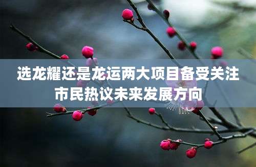 选龙耀还是龙运两大项目备受关注市民热议未来发展方向