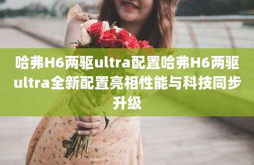 哈弗H6两驱ultra配置哈弗H6两驱ultra全新配置亮相性能与科技同步升级