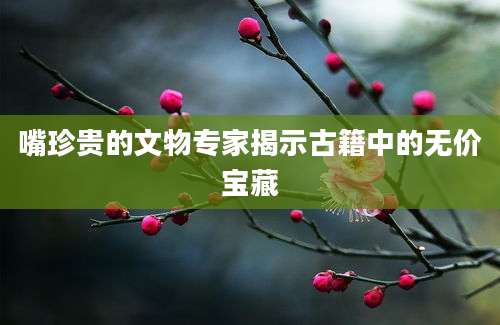 嘴珍贵的文物专家揭示古籍中的无价宝藏