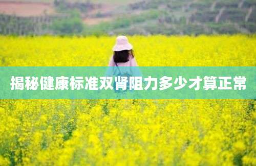 揭秘健康标准双肾阻力多少才算正常