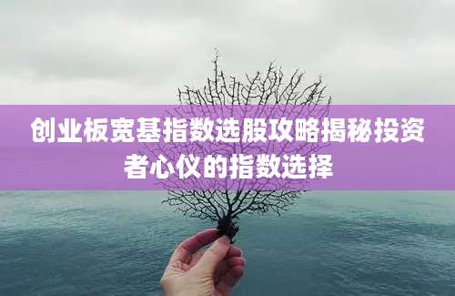 创业板宽基指数选股攻略揭秘投资者心仪的指数选择