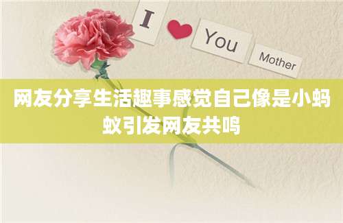 网友分享生活趣事感觉自己像是小蚂蚁引发网友共鸣