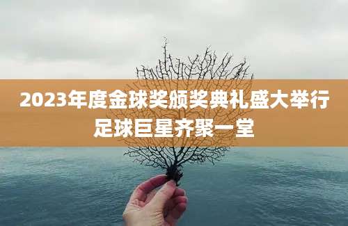 2023年度金球奖颁奖典礼盛大举行足球巨星齐聚一堂