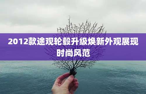 2012款途观轮毂升级焕新外观展现时尚风范