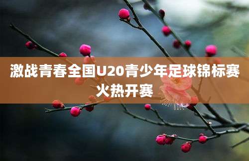 激战青春全国U20青少年足球锦标赛火热开赛