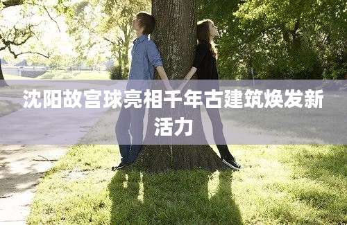 沈阳故宫球亮相千年古建筑焕发新活力