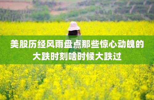 美股历经风雨盘点那些惊心动魄的大跌时刻啥时候大跌过