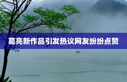 葛亮新作品引发热议网友纷纷点赞