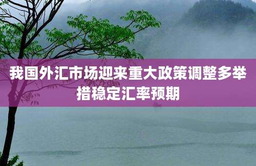 我国外汇市场迎来重大政策调整多举措稳定汇率预期
